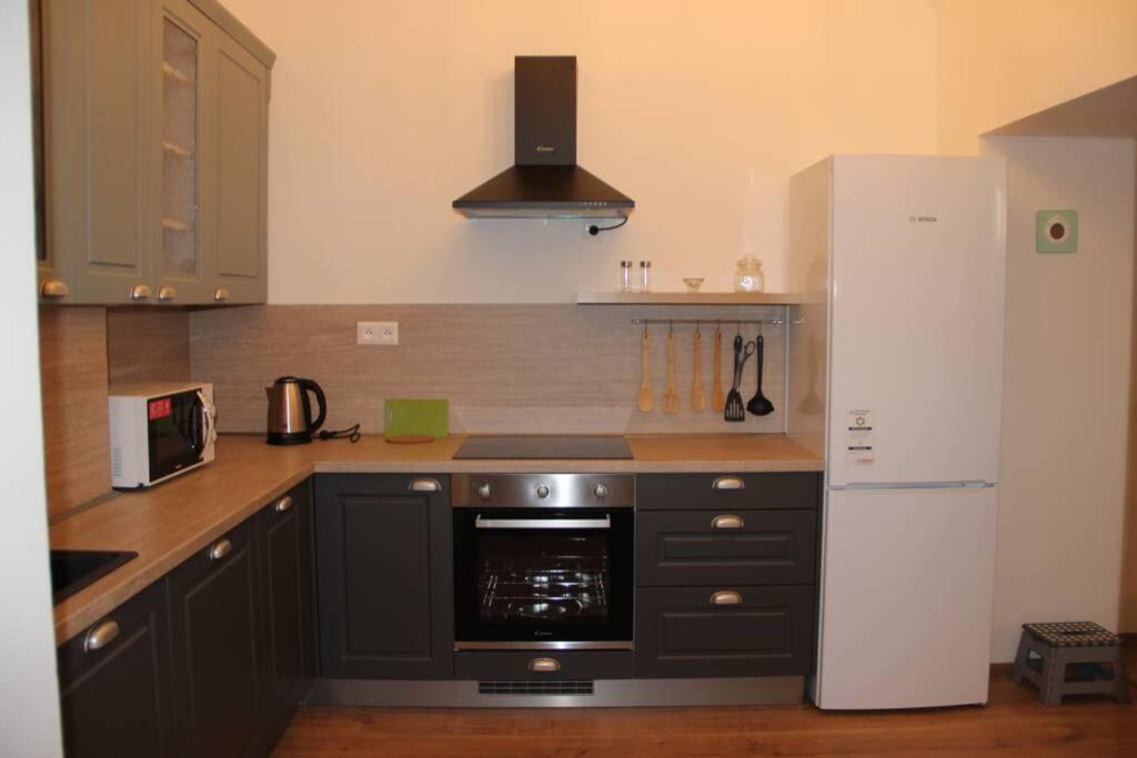 Apartment"Na Hlavnej" コシツェ エクステリア 写真