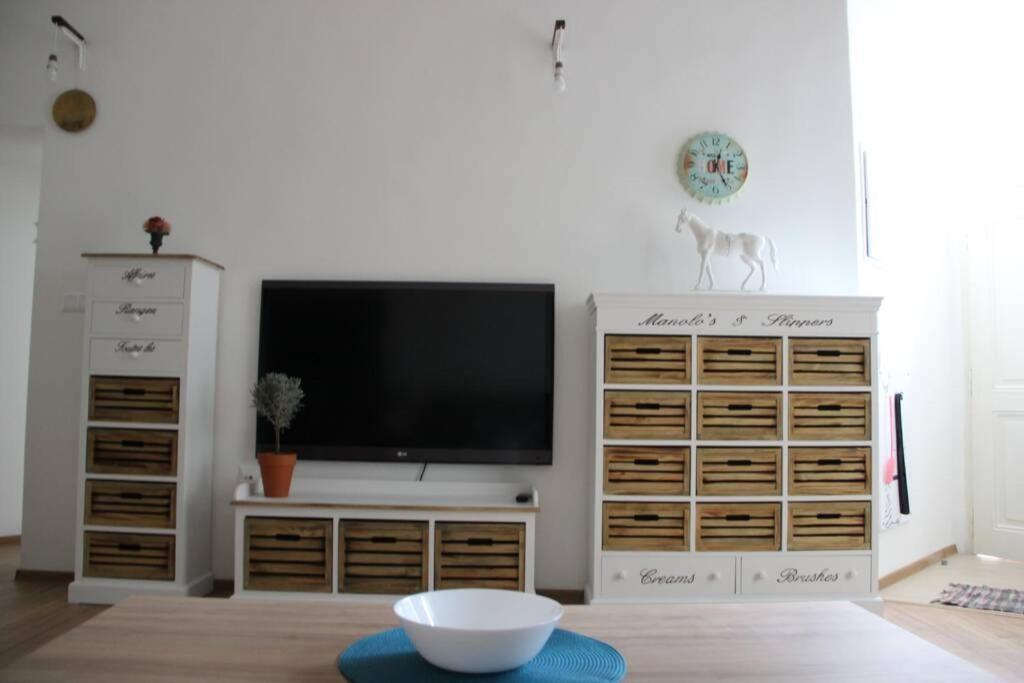 Apartment"Na Hlavnej" コシツェ エクステリア 写真